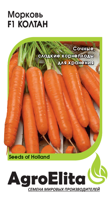 морковь колтанt_4